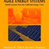 Agile Energy Systems: Global Lessons From The California Energy Crisis (Hb 2004)