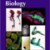 Current Topics In Developmental Biology Vol.53