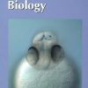 Current Topics In Developmental Biology Vol.55