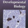 CURRENT TOPICS IN DEVELOPMENTAL BIOLOGY, VOL. 58