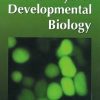 CURRENT TOPICS IN DEVELOPMENTAL BIOLOGY VOL.59