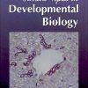 Current Topics In Developmental Biology Vol.61