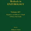 METHODS IN ENZYMOLOGY ,VOL-407:  REGULATORS AND EFFECTORS OF SMALL GTPASES;RAS FAMILY