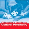 CLINICIAN'S GUIDE TO CULTURAL PSYCHIATRY