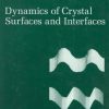 DYNAMICS OF CRYSTAL SURFACES AND INTERFACES