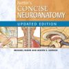 NETTERS CONCISE NEUROANATOMY UPDATED EDITION (PB 2017)