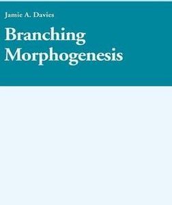 Branching Morphogenesis Hb