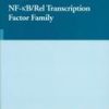 9780387335728 1 | Nf Kb Rel Transcription Factor Family | 9780387335988 | Together Books Distributor Nf-Kb/Rel Transcription Factor Family