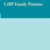 Ctbp Family Proteins (Hb)