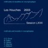 METHODS AND MODELS IN NEUROPHYSICS, LES HOUCHES 2003, SESSION LXXX