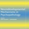 Neurodevelopmental Mechanisms In Psychopathology