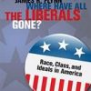 WHERE HAVE ALL THE LIBERALS GONE?: RACE, CLASS, AND IDEALS IN AMERICA (HB 2008)