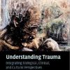 UNDERSTANDING TRAUMA INTEGRATING BIOLOGICAL CLINICAL AND CULTURAL PERSPECTIVES (HB 2007)