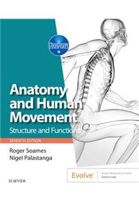 ANATOMY AND HUMAN MOVEMENT STRUCTURE AND FUNCTION 7ED (PB 2019)