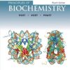 Principles Of Biochemistry 4Ed Isv (Pb 2013) 9781118092446