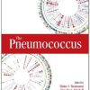 9781555812973 1 | The Pneumococcus Hb | 9781555812959 | Together Books Distributor The Pneumococcus (Hb)