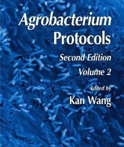 Agrobacterium Protocols 2Ed: Vol 2 Hb