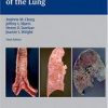 Thurlbeck'S Pathology Of The Lung