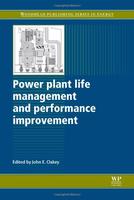 Power Plant Life Management Performance Improvement Hb