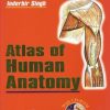 Atlas of Human Anatomy