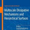Multiscale Dissipative Mechanisms And Hierarchical Surfaces