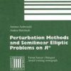 Perturbation Methods And Semilinear Elliptic Problems On R^N