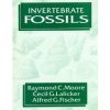 Invertebrate Fossils
