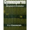 Gymnosperms Structure And Evolution (Pb)