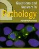 Questions And Answers In Pathology
