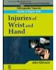 Injuries Of Wrist And Hand (Handbook In Orthopedics And Fractures Vol.9 - Orthopedic Trauma Injuries Of Upper Limb)