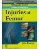 In Juries Of Femur (Handbook In Orthopedics And Fractures Vol.14 - Orthopedic Trauma Injuries Of Lower Limb)