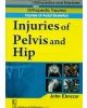 Injuries Of Pelvis And Hip (Handbook In Orthopedics And Fractures Vol.20 - Orthopedic Trauma Injuries Of Axial Skeleton)