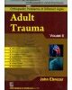 Adult Trauma, Vol. 11 ( Handbooks In Orthopedics And Fractures Series, Vol. 76-Orthopedic Problems Of Different Ages)