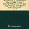 Yoga Therapy For Repetitive Stress Injury ( Handbooks In Orthopedics And Fractures Series, Vol. 101-Yoga Therapy In Common Orthopedic Problems)