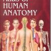 Asklepios Atlas Of Human Anatomy  Sie (Pb-2014)