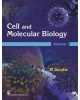 9788123928845 1 | Cell And Molecular Biology Vol 1 Pb 2016 | 9788123928814 | Together Books Distributor Cell And Molecular Biology Vol 1 (Pb 2016)