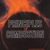 Principles Of Combustion 2Ed (Pb 2016)