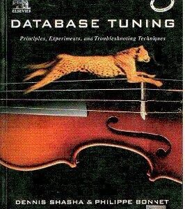 DATABASE TUNING PRINCIPLES, EXPERIMENTS & TROUBLESHOOTING TECHNIQUES 