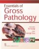 Essentials Of Gross Pathology (Pb 2017)