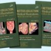 The Netter Collection of Medical Illustrations: Digestive System Package -2E