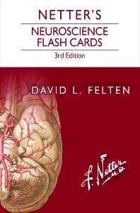 Netter’S Neuroscience Flash Cards 3E