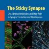 9780387927077 1 | The Sticky Synapse Hb 2009 | 9780231171991 | Together Books Distributor The Sticky Synapse (Hb 2009)