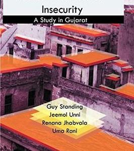 Social Income And Insecurity