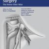 Lateral Skull Base Surgery