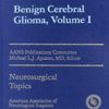 Benign Cerebral Gliomas Volume I