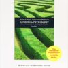 9780070165076 1 | Abnormal Psychology 6Ed Ie Pb 2009 | 9780070091771 | Together Books Distributor