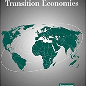 Managing Networks In Transition Economies