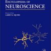 9780080446172 1 | Encyclopedia Of Neuroscience 10 Vol Set | 9780080445908 | Together Books Distributor