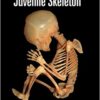 9780121028213 1 | The Juvenile Skeleton | 9780121072582 | Together Books Distributor