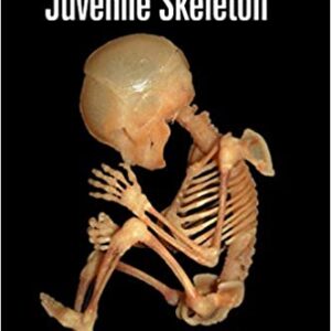 The Juvenile Skeleton